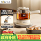 小熊（Bear）煮茶器 煮茶壺養生壺便攜式家用蒸茶器0.8L創意收納旅行花茶壺 ZCQ-M08S2 配茶盤茶杯 七夕節禮物