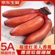 裕農(nóng)叔【JD速發(fā)】紅美人香蕉新鮮紅皮水果福建當(dāng)季孕婦生鮮芭粉蕉 凈重 1500g （40%選擇-性價比） 商超A+級特大果