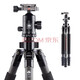 思銳SIRUI R2204+G20KX 碳纖維三腳架單反相機攝像機三角架云臺套裝 R2204+G-20KX套裝
