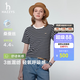 HAZZYS哈吉斯女裝 26新款夏季女士短袖PHIZ圓領條紋寬松T恤女 藏青色NV XL (170/92A 42)