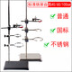 大號(hào)鐵架臺(tái)實(shí)驗(yàn)室高40/60/100cm厘米1米多功能加厚國(guó)標(biāo)全套不銹鋼方座支架化學(xué)十字夾子滴定夾蝴 普通鐵架臺(tái)全套/高40cm/重0.95kg
