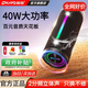 雷登X10Ultra音響藍牙音箱 2分頻40W立體聲2026新款高音質便攜式小型戶外自行車騎行防水音響重低音炮 2分頻1.1聲道40W【獨立高音+低音】賽道揚聲器-黑色 防塵防水+持久續航【大音量低音