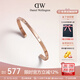 丹尼爾惠靈頓（DanielWellington）DW手鐲女閃耀星辰情侶手鐲生日禮物送女友DW00400531
