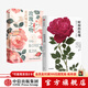 中信出版 包郵 玫瑰之吻+時(shí)間的玫瑰 套裝2冊 花的博物學(xué) 中信出版社圖書