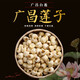 冠蓮 廣昌蓮子干貨500g特級去芯白蓮子 江西農家自產(chǎn)干貨無(wú)芯白蓮250g 0.5KG