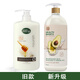 海絲蓓康新西蘭原裝進口海絲蓓康牛奶蜂蜜滋潤沐浴乳無皂基沐浴露旗艦 牛奶鱷梨沐浴650ml新 650ml