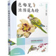 色鉛筆濃情花鳥(niǎo)繪（歐美篇 第2版）