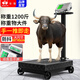 至尊（ZHIZUN）落地稱重電子秤商用臺秤工業(yè)用大型高精度可折疊電子稱豬滾輪子食品水果快遞物流地磅秤 600kg【雙面液晶屏】特大臺面45x60三孔充電