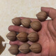 文玩人的熱愛梅林下村鐵核鷹嘴鐵核鐵圓核鐵頭核源頭定制款 1.9