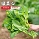密水農(nóng)家密云農(nóng)業(yè) 自種新鮮蔬菜 菜心300g 清脆