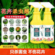 米詅殺蟲(chóng)劑花卉植物通用綠植除蟲(chóng)劑多肉月季花家用蚧殼蟲(chóng)紅蜘蛛殺蟲(chóng)- 1瓶500ml【高效除蟲(chóng) 不傷花】