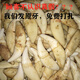 淘吻 現(xiàn)拔藏獒牙齒寶寶黑狗牙項(xiàng)鏈 狼牙吊墜男女情侶狗牙齒飾品 3.5厘米(黑色吊繩)