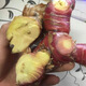 潮汕南姜新鮮 精選野生山姜牛羊肉火鍋去膻配料調(diào)味品老南姜 半斤-潮汕本地南姜