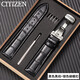 CITIZEN/西鐵城手表帶真皮原裝小藍針光動(dòng)能空中之鷹騷橙男女皮帶 黑色黑線(xiàn)+銀色蝴蝶扣 24mm接口寬度
