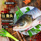 密園小農  魚(yú)北京密云水庫 胖頭魚(yú)頭花蓮現捕淡水花鰱生鮮黃辣丁 胖頭【魚(yú)頭】約3斤