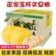 御香梅 玉環(huán)大文旦柚子浙江臺州楚門(mén)新鮮水果文旦柚子當季白心時(shí)令 柚子 20斤【5-6個(gè)裝】個(gè)頭霸氣文旦皇