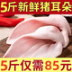 【新鮮活殺】5斤新鮮豬耳朵現(xiàn)殺散養(yǎng)土豬耳豬耳片涼拌炒菜1斤 原切豬耳朵1斤【量少，試吃】