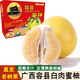 鑫果滋廣西容縣蜜柚 容縣千秋特產(chǎn)水果水晶紅白肉柚子新鮮送禮沙田密柚 容縣【白肉蜜柚】 8.5-9斤（大果3-4個(gè)）禮盒裝