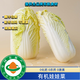 5斤有機娃娃菜有機認證證書(shū)有機碼齊全現摘現發(fā)無(wú)農殘新鮮好吃 有機娃娃菜5斤 5斤