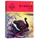 黑天鵝紫水晶 升級(jí)版 動(dòng)物小說(shuō)大王沈石溪品藏書(shū)系 兒童文學(xué)課外讀物