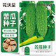 花沃里苦瓜種子10g 蔬菜種子 四季菜種籽速成菜陽(yáng)臺盆栽庭院田間種植