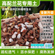 船長(zhǎng)花園蘭花專用土君子蘭蝴蝶蘭植料高級(jí)蘭花土顆粒肥高端松樹皮種蘭花 高配版6升（約5斤）