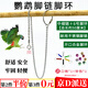 隨燦 鸚鵡腳鏈腳環(huán)不銹鋼鳥鏈子八哥玄鳳鴿子站架開口腳套活扣鳥用品 【6號腳環(huán)+中細(xì)鏈】鸚鵡腳鏈1條 （總長約50cm） 送1個哨+1個鈴鐺