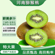 猴小桃 綠心獼猴桃 奇異果河南南陽(yáng)西峽特產(chǎn)水果春節年貨元宵禮盒送禮 20枚（單果100-130g）