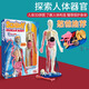 COI PLAY憨爸推薦SmartLab人體器官內(nèi)臟構(gòu)造結(jié)構(gòu)模型人體3D立體拼圖玩具