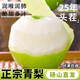 正宗碭山青梨翠玉梨9斤新鮮水果現(xiàn)摘酥脆皇冠翠子香梨酥梨雪梨M5 3斤【現(xiàn)摘大果】