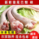 順豐新鮮豬尾巴現殺農家土豬長(cháng)中短尾巴整根散養批發(fā)鹵味生鮮食材 短豬尾巴【1斤】整根