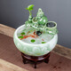 埔勒森（PULESEN）景德鎮(zhèn)陶瓷魚缸流水噴泉家用小金魚缸大號(hào)養(yǎng)魚盆客廳加濕裝飾造景 玉蘭+流水器擺件+6禮 小號(hào)24*24*30CM【高3cm底座】