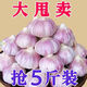 超低價(jià)】紫皮大蒜頭干蒜5斤批發(fā)2025新鮮祘頭籽農(nóng)家蒜子 5斤補(bǔ)貼沖量蒜香味濃 大果