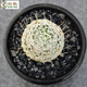 仙人球實(shí)生多肉植物仙人球仙人掌會(huì )開(kāi)花一物一拍小盆栽套餐 杜威丸4-5cm 裸根不帶土