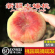 悠軼新疆蟠桃石河子143團蟠桃和靜縣紐扣扁毛桃子爆甜新鮮水果禮盒 5斤特級大果