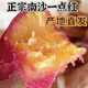廣州南沙一點(diǎn)紅番薯當(dāng)季板栗紅薯農(nóng)家新鮮自種冰淇淋紫心蜜薯 中大果5斤裝