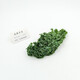 威廉農(nóng)場(chǎng)羽衣甘藍(lán) 生菜 蔬菜新鮮  Kale  500g 500g