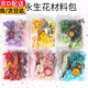 MODX天然永生花混合干花假花仿真花手工diy自制團扇貼畫(huà)滴膠浮游花材 干花材料包（款式隨機）1包