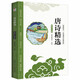 影響孩子一生的國學(xué)啟蒙經(jīng)典彩繪注音版美繪本：唐詩(shī)精選（彩繪注音版）