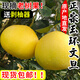 兮柔正宗浙江玉環(huán)文旦柚 新鮮柚子老樹(shù)白肉文旦柚子團購送禮佳品整箱 【禮盒裝】7斤裝 精選2枚大果