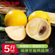 裕農(nóng)叔冬蜜黃晶果【順豐JD】鮮果新鮮孕婦罕見稀有水果黃石牛奶蛋黃果 5斤裝（60%選擇-超劃算）凈果4.5斤