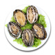 參小妹 活凍鮑魚(yú) 8頭海鮮水產(chǎn)新鮮火鍋燒烤食材煲湯健康輕食 鮑魚(yú)500g