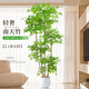 臨雅南天竹仿真綠植室內大型盆栽高端輕奢假花樹(shù)客廳仿生植物落地擺件 2.1米丨五桿南天竹+半圓形白盆