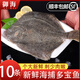 鮮活速凍多寶魚新鮮比目魚大菱鲆海鮮魚類水產(chǎn)冷凍海鮮水產(chǎn)順豐 精選多寶魚2條【單條9兩左右】