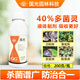 國光40%多菌靈殺菌劑菌靈專用花藥百菌淸植物蔬菜花卉黑斑白粉病200g