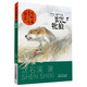 動(dòng)物小說(shuō)大王 沈石溪畫(huà)本 6-7-8-9-10-12歲少年兒童閱讀課外書(shū) 牝狼