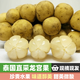 甜農人泰國進(jìn)口龍宮果 新鮮水果 龍貢果 椰色果 黃皮 杜古枇杷果 2斤  順豐