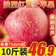 雪糖心 蘋(píng)果陜西新鮮紅富士蘋(píng)果 冰糖心蘋(píng)果 新鮮水果整箱脆甜 凈重8.5斤（75-80mm）