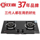 雙喜雙喜煤氣灶家用雙灶燃?xì)庠钋度胧皆钆_(tái)式液化氣灶節(jié)能猛火灶雙爐 3001-12T-臺(tái)嵌兩用 -天然氣用.
