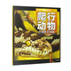 新版UTOP權(quán)威探秘百科：爬行動(dòng)物